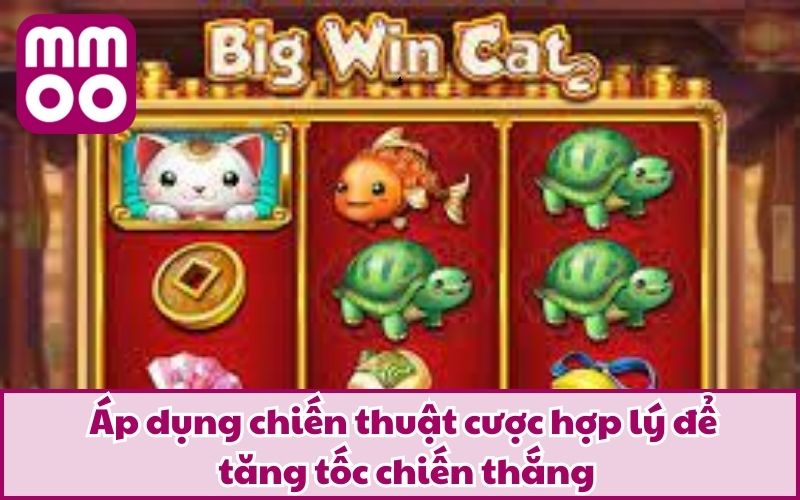 Áp dụng chiến thuật cược hợp lý để tăng tốc chiến thắng