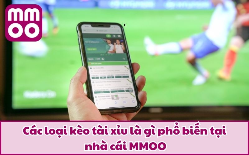 Các loại kèo tài xỉu là gì phổ biến tại nhà cái MMOO