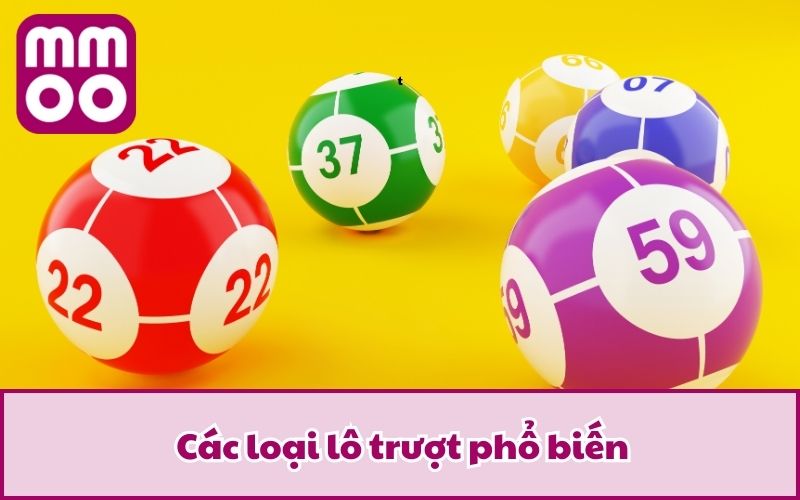 Các loại lô trượt phổ biến