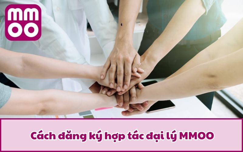 Cách đăng ký hợp tác đại lý MMOO