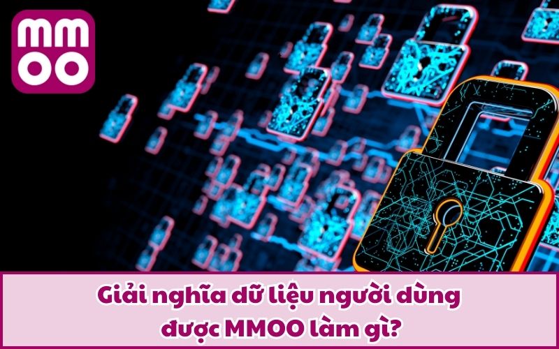 Giải nghĩa dữ liệu người dùng được MMOO làm gì