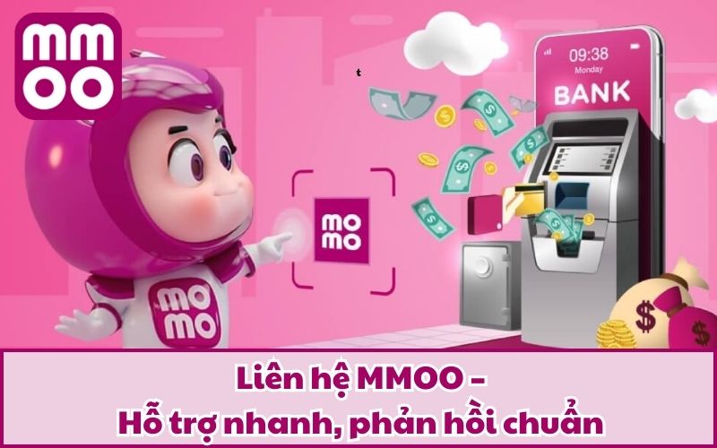 Liên hệ MMOO – Hỗ trợ nhanh, phản hồi chuẩn