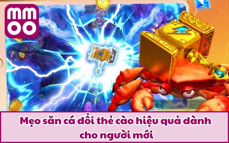 Mẹo săn cá đổi thẻ cào hiệu quả dành cho người mới