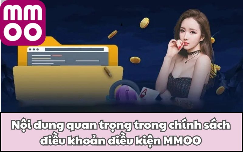 Nội dung quan trọng trong chính sách điều khoản điều kiện MMOO