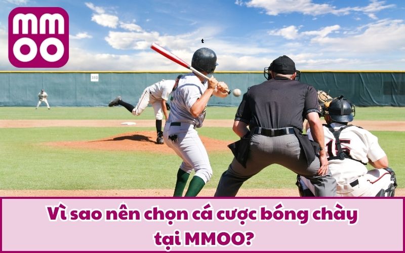 Vì sao nên chọn cá cược bóng chày tại MMOO?